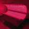 Кровать приведенная 660nm 850nm терапией красного света всего тела ультракрасная